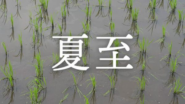 暁のヒトシズク｜夏至｜陽の光がいちばん長く大地を照らす日