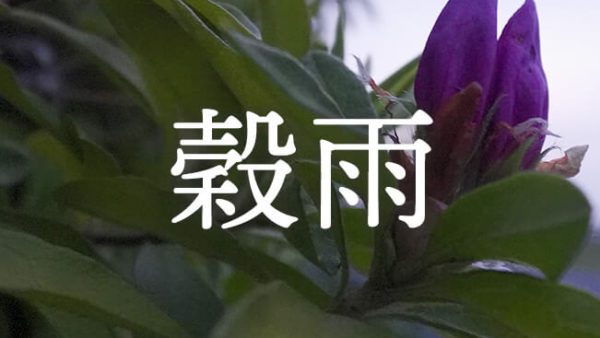 暁のヒトシズク｜穀雨｜こうもりと半月と、田んぼの朝