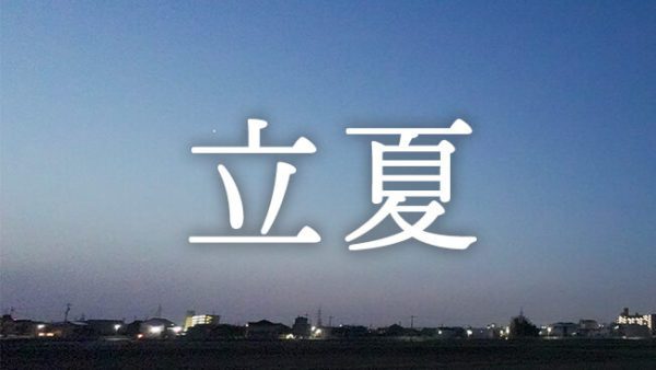 暁のヒトシズク｜立夏｜鳥と花と、はじまりの温度