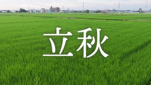 暁のヒトシズク｜立秋｜人生で初めて立秋を感じる