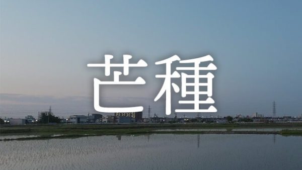 暁のヒトシズク｜芒種｜鏡の田んぼに映る季節