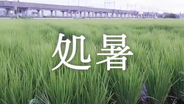 暁のヒトシズク｜処暑｜人生で初めて立秋を感じる