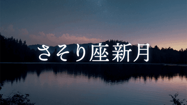 【新月のwork】2025年11月20日 さそり座新月｜第7ハウス