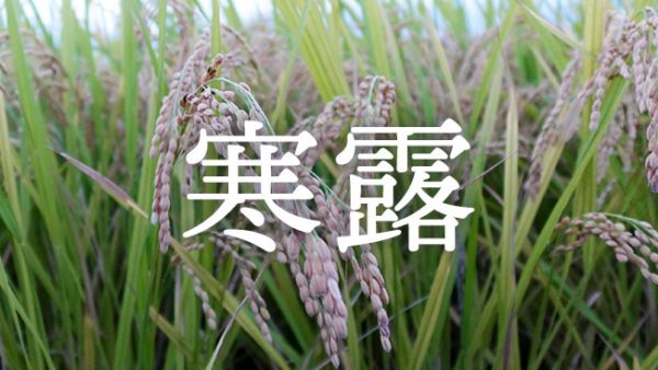 暁のヒトシズク｜寒露｜冷たい空気のなかに、秋の透明な光が宿る頃