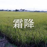 霜降──朝霜が降りて、秋が深まる