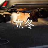 立冬──冬の静けさが訪れる朝